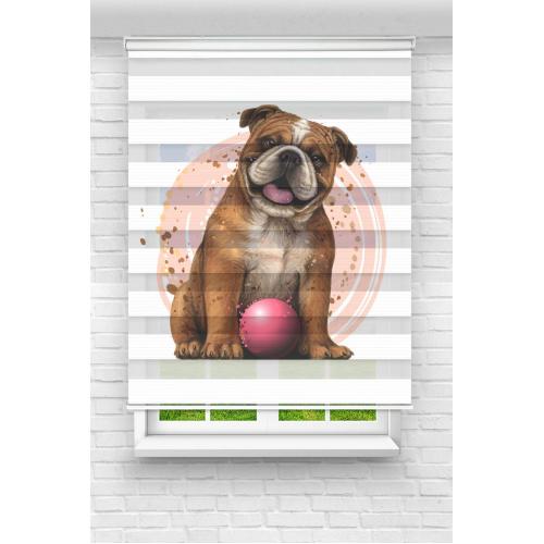 Köpek ve Pembe Top Zebra Perde